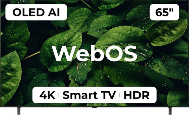 Телевизор LG OLED AI B5 OLED65B5RLA Телевизор LG OLED AI B5 OLED65B5RLA