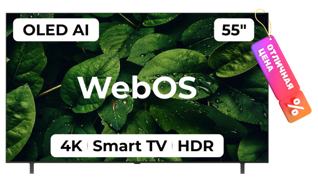 Телевизор LG OLED AI B5 OLED55B5RLA Телевизор LG OLED AI B5 OLED55B5RLA