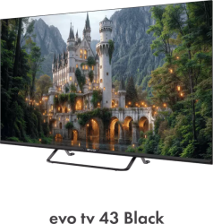 Телевизор Evo TV 43 Black TD0051752RU - фото2