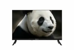 Телевизор Topdevice 24" SALUTE TV TDWC24BH4260V - фото