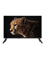 Телевизор Topdevice 24" WILDRED TDWC24BH2210I - фото