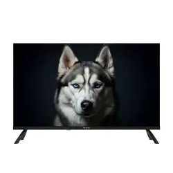 Телевизор Topdevice 32" WILDRED TDWC32BF2110V - фото