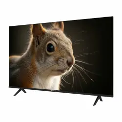 Телевизор Topdevice 43" SALUTE TV TDWC43BF4260V - фото2