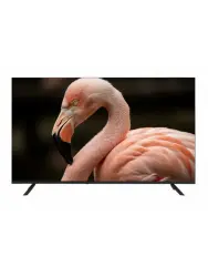 Телевизор Topdevice 43" WILDRED TDWC43BF2110V - фото