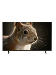 Телевизор Topdevice 43" SALUTE TV TDWC43BF4260V - фото
